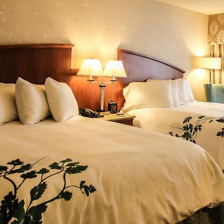Hotel Wingate By Wyndham Elkins Esterno foto